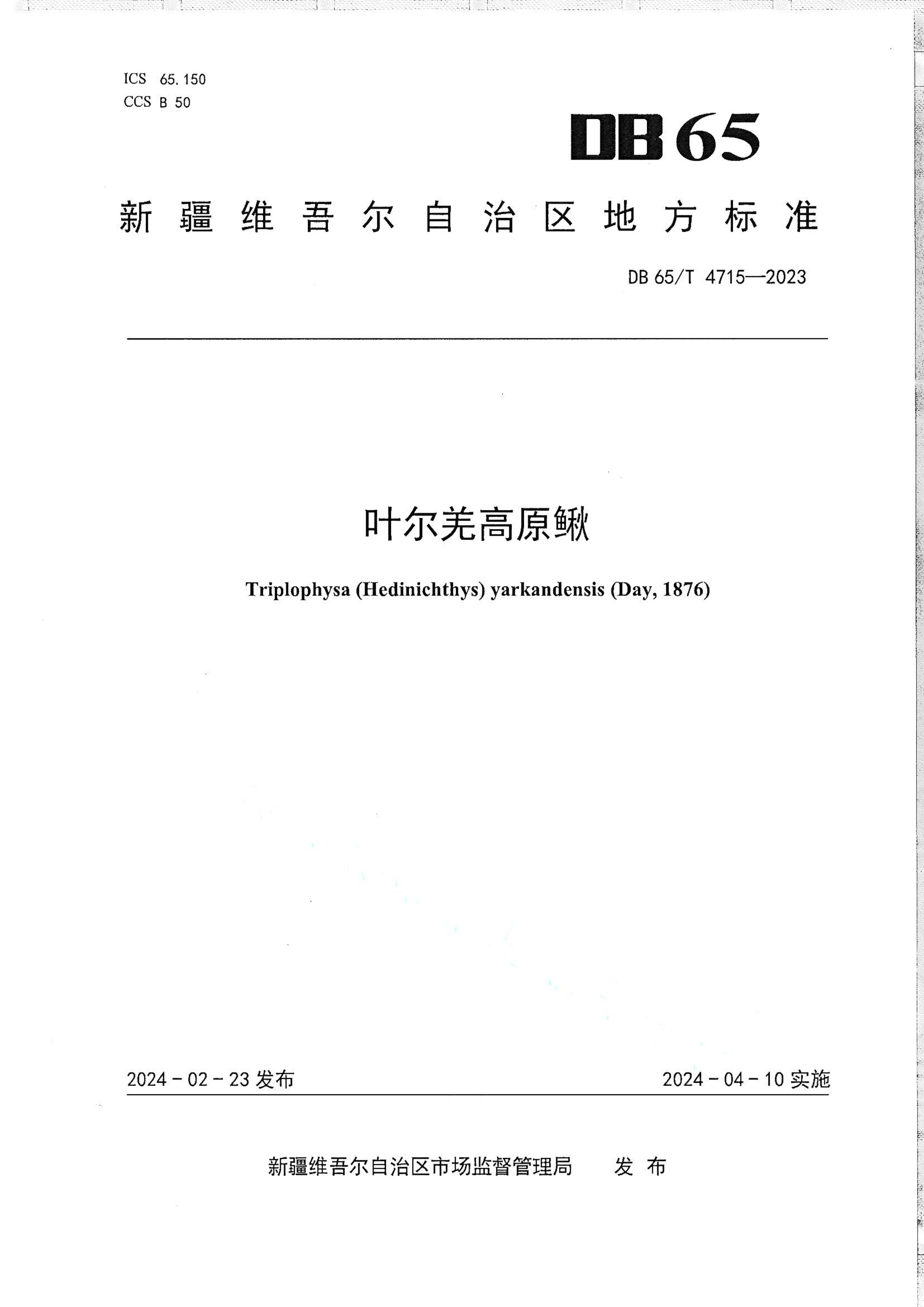资源详情图